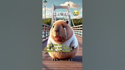 Capybara khóc vì bị đi lạc 😭
