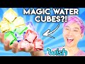 Can You Guess The Price Of These WEIRD WISH PRODUCTS!? (GAME)