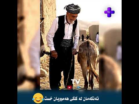 ئەم هەڵبژااردنە تەنەکەمان لە کلکی هەموویان خست