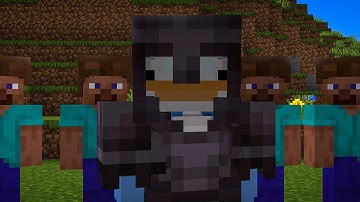 How I Proved Myself To this Minecraft Server