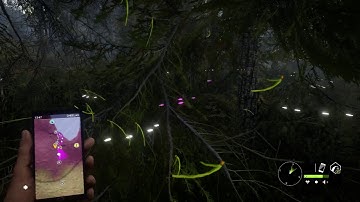 theHunter COTW disappearing tracks... again