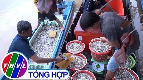 THVL | Nhộn nhịp chợ “hẹn” mùa nước nổi tại Đồng Tháp