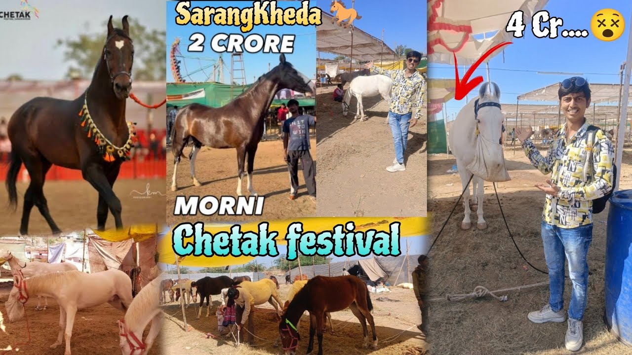 SarangKheda Yatra 2025 🐎 | सारंगखेडा चेतक Festival | Horse Fair | Famous Goda Bazar Maharashtra