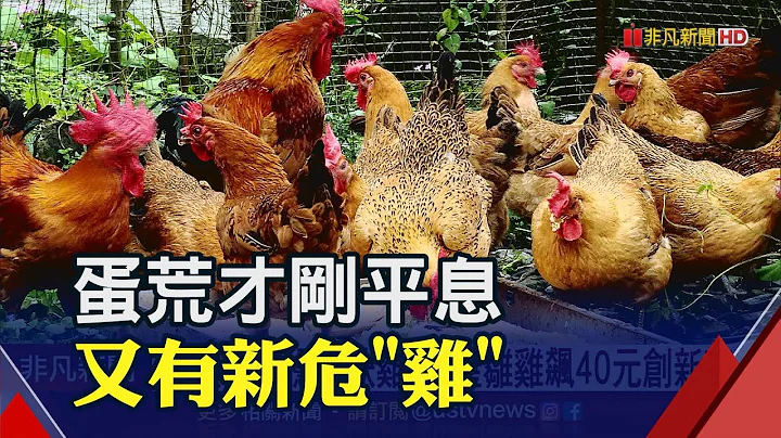跟鸡有关都缺货! 国产雏鸡飙40元创新高 鸡翅1只12元 摊商叫苦民众难下手｜非凡财经新闻｜20230502 - 天天要闻