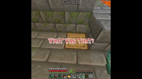Not a normal end portal #minecraft #horror