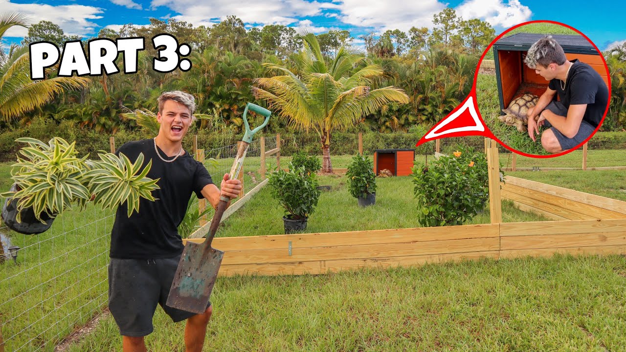We FINALLY finished the Tortoise Enclosure!! (Part 3)