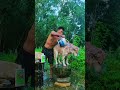 #jojo and #bihani #husky #dog