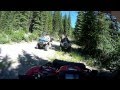 ATV Trail Riding in BC - Day 5 - Incredible Deer Encounter