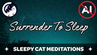 Find Stillness & Surrender To Sleep (NO AI)