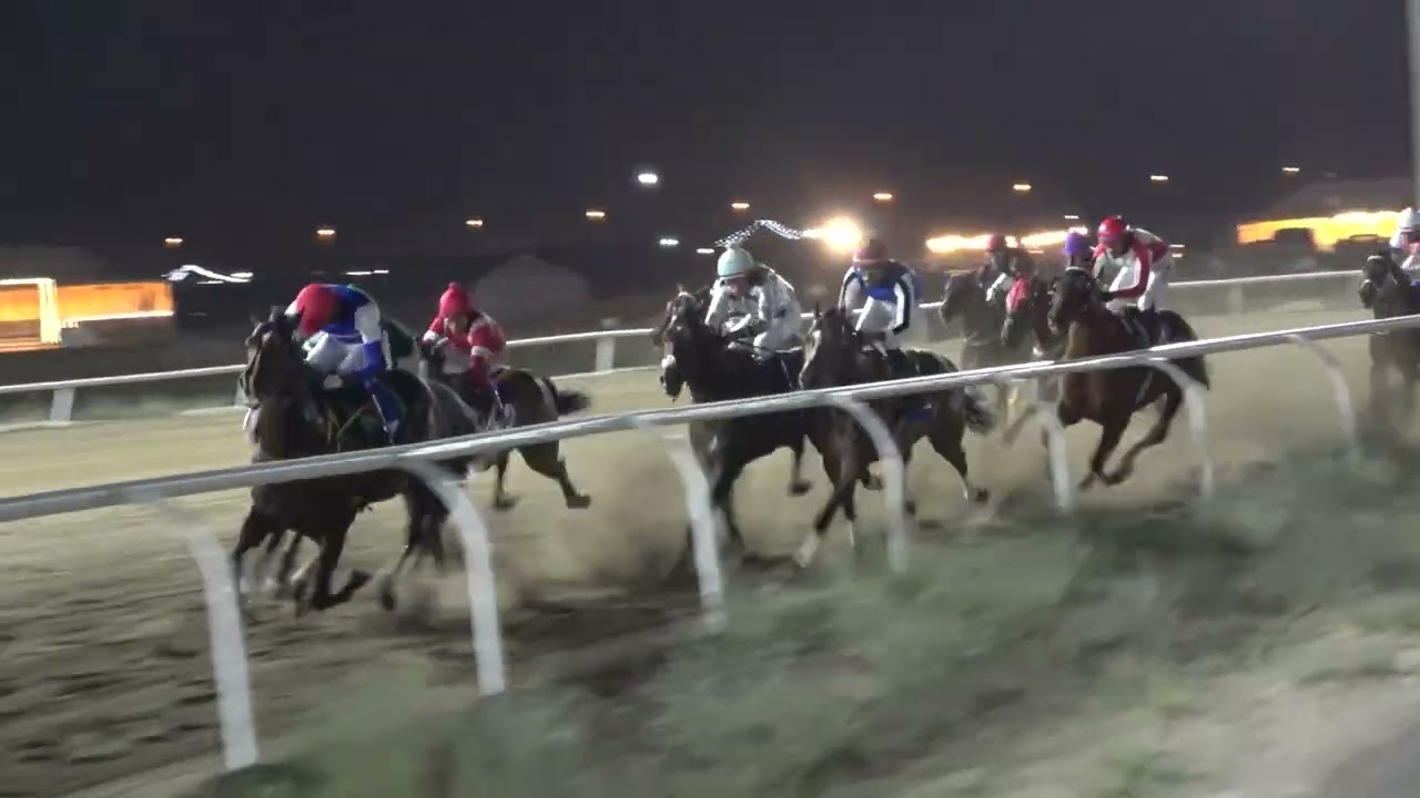 الاجتماع 18 الشوط الرابع المركز الاول الجواد بالب اسطبل عجب الخضر