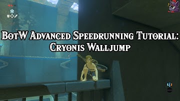 Cryonis Walljump | Advanced Breath of the Wild Speedrun Tutorial