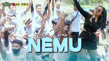 DINI KURNIA - NEMU (ONE PRO LIVE ANNIVERSARY 4 REMAJA CEMETUK BERSATU)