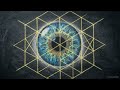 The Phenomenological Fallacy Why AI Doesn t Need to Understand 1
