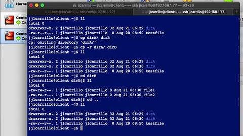 Copiar y mover directorios - RedHat / Rocky Linux / Alma Linux / Oracle Linux / CentOS