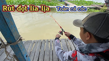 MỘT NGÀY CÂU CÁ SÔNG HẬU  , 4 LẦN BẤT ĐƯỢC CÁ CHÓ  | Dương Bình Fishing | CÂU CÁ GIẢI TRÍ