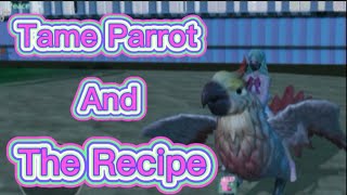 How To Tame Parrot | Feed& Location | Utopia Origin