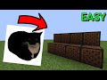 How to play maxwell the cat on noteblocks