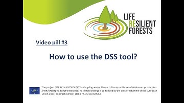 How to use the DSS Tool