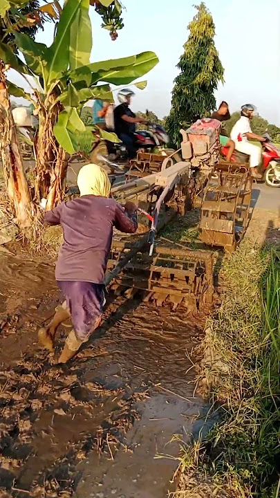 Hampir gagal naik #shorts #shortvideo #shortsfeed #quick #sawah #traktor #petani