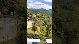 Ooty Vibes 2025 Solo Travel 🧳 #ooty #ootytrip #ootytourism #travel #trending #yt #ytshorts #shorts