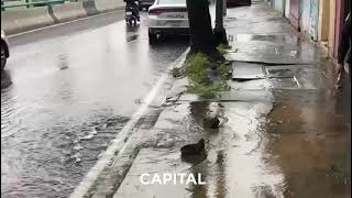 Fuga de agua en la colonia Molino de Rosas, alcaldía Álvaro Obregón