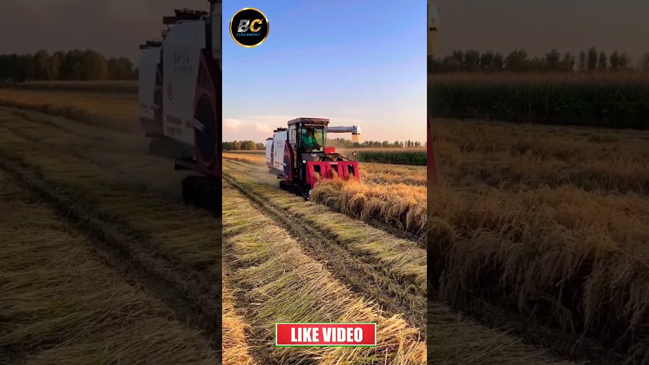 yanmar combine harvester 