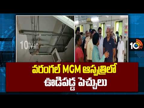 వరంగల్ MGM ఆస్పత్రిలో ఊడిపడ్డ పెచ్చులు | Ceiling Plaster Collapse at Warangal MGM Hospital | 10TV - 10TVNEWSTELUGU
