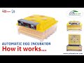 Digital Egg Incubator | How to operate the machine