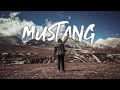 Mustang lete during lockdown  s02e02  4k