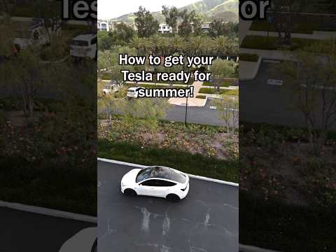 This Fridge Fits Perfectly in your Tesla!