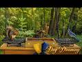 🌞 Daylight Hours Live at the Buffet | Wisconsin Wildlife, Birds, Squirrels & More! June 7, 2026