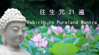 往生咒21遍（拔一切業障根本得生淨土陀羅尼）Rebirth to Pureland Mantra