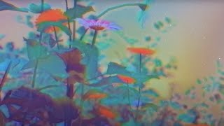 Dandelion   Galantis 1 Hour Loop