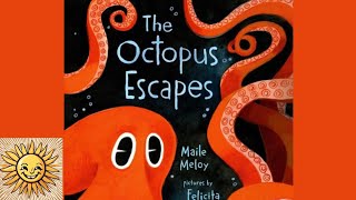 The Octopus Escapes   | Children's Story Read Aloud