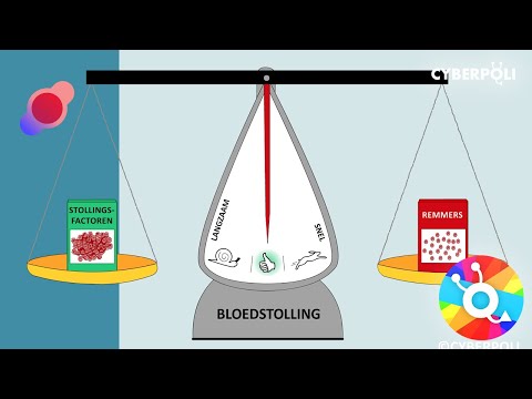 Video: Verschil Tussen Anticoagulantia En Trombolytica