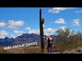 This Cactus will Enchant you  (Boondocking in the Desert)
