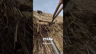 Grass Roof shorts science