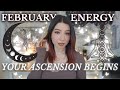 February astrology 2024aquarius new moon virgo full moon  more  elevate  awaken spiritually