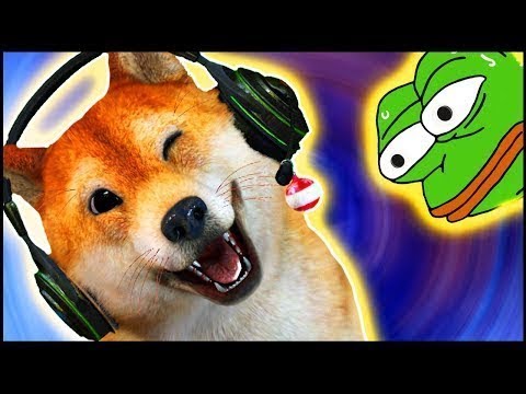 Fortnite - песя стрими - Fortnite - песя стрими
