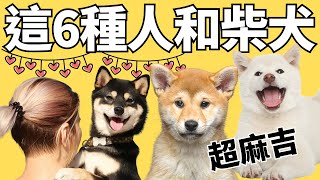 這六種人很適合養柴犬第5種養什麼狗都輕鬆柴犬優缺點Shiba Inu