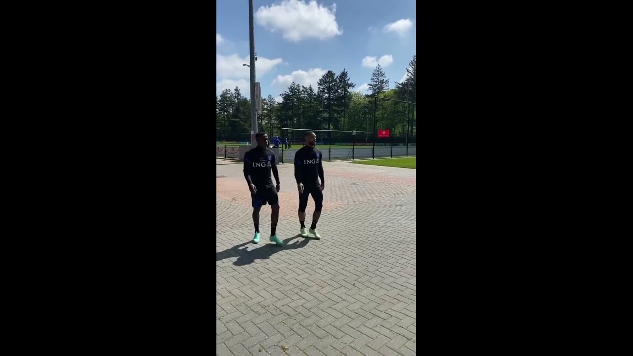 Cold celebration from Promes and Depay