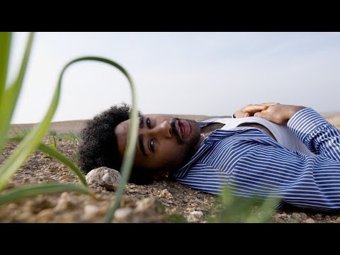 Dead Dawg — DEAD DAWG - WEITER WEITER (Prod. by MotB) | BHZ