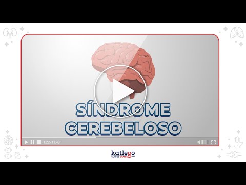 Video: ¿Por qué los signos cerebelosos son homolaterales?