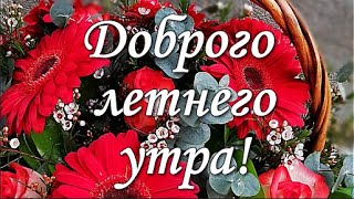 С Добрым летним утром! Удачного и светлого дня! Музыкальная открытка