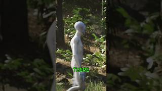 The UFO Sightings From The Cursed Forest Of America #alien #unsolvedmysteries #urbanlegends #shorts