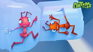 Frozen  | 😄🐜| Antiks Adventures - Joey and Boo's Playtime by Antiks Adventures - Joey and Boo's Playtime 30,849 views 11 days ago 24 minutes