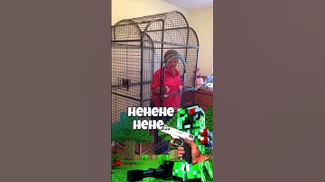 Minecraft Memes #minecraft #minecraftshorts