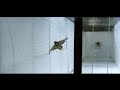 Bird-Safe Glass Testing Tunnel Process