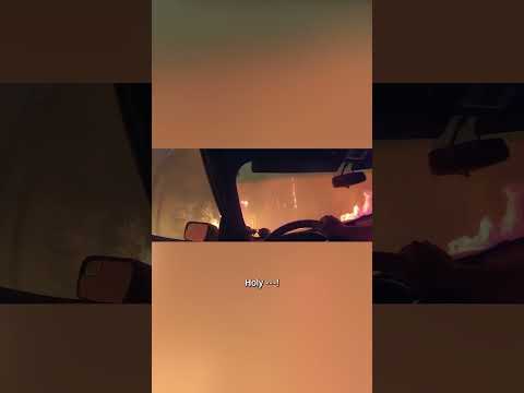 Sheriff's deputy gets residents to safety while escaping wildfire #Shorts