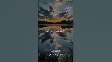 القارئ محمد أحمد حسن – صوت يبعث الطمأنينة ماتيسر من سورة الحجرات #القارئ محمد أحمد حسن #تلاوة مؤثرة